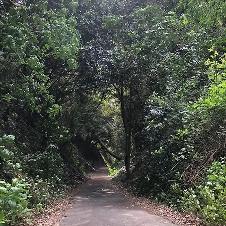 La Coulina ניס